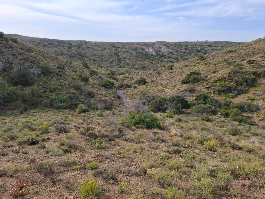  Bedroom Property for Sale in Van Wyksdorp Western Cape